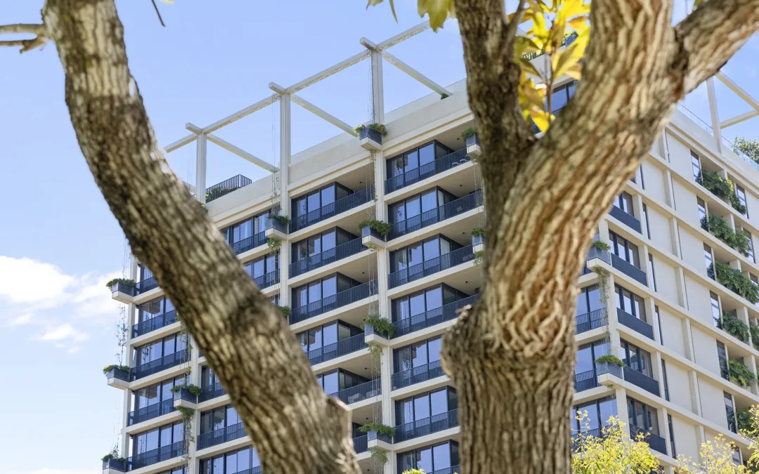 Aria Trellis